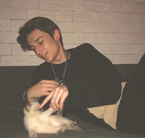 Ảnh đại diện người dùng Phạm Quỳnh Anh